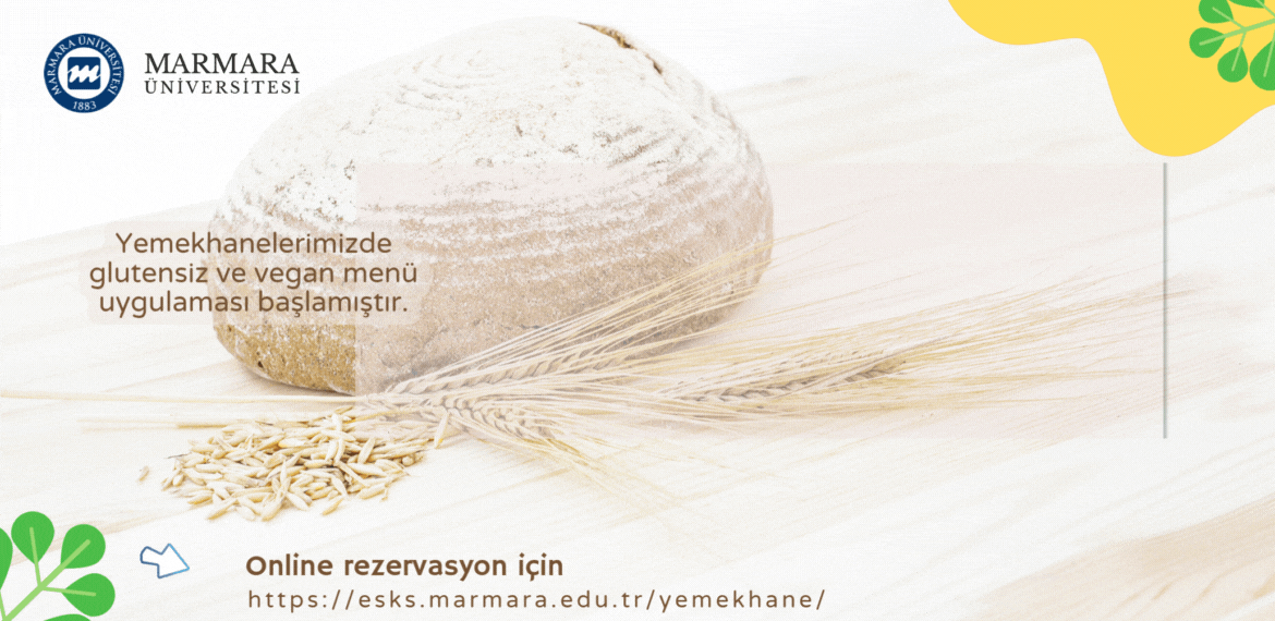 1732185424.gif (1.24 MB)